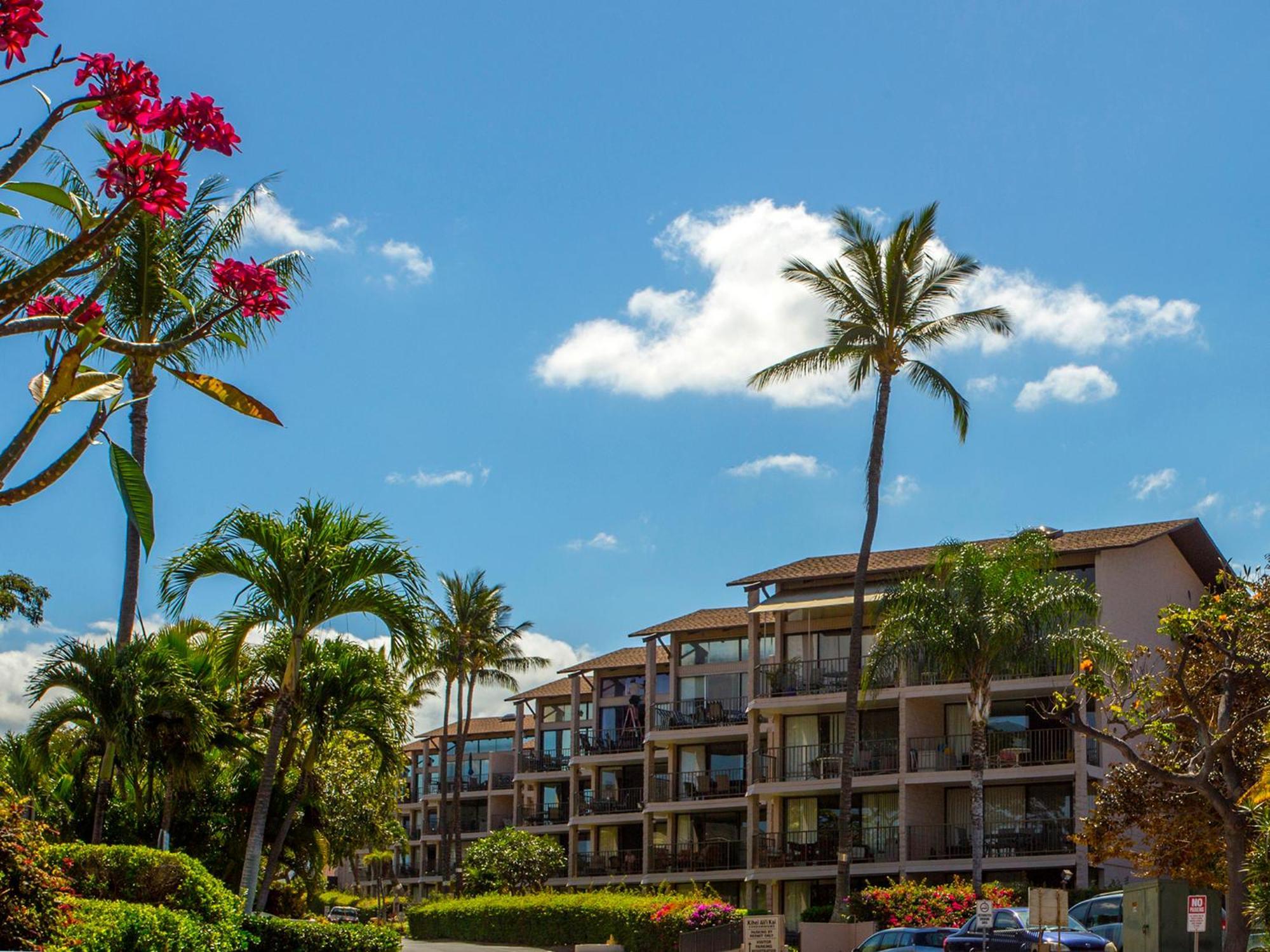 Ocean View Unit At Kihei Alii Kai Close To Beach エクステリア 写真
